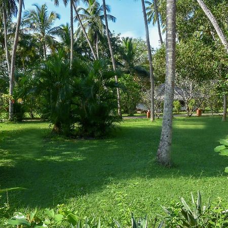 Eva Lanka Hotel - Beach & Wellness Tangalle Buitenkant foto
