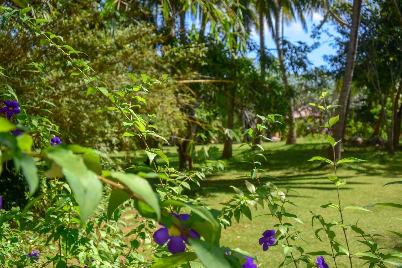 Eva Lanka Hotel - Beach & Wellness Tangalle Buitenkant foto