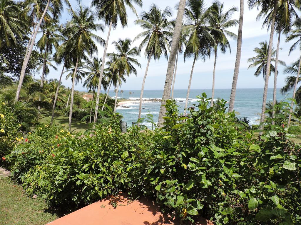 Eva Lanka Hotel - Beach & Wellness Tangalle Buitenkant foto