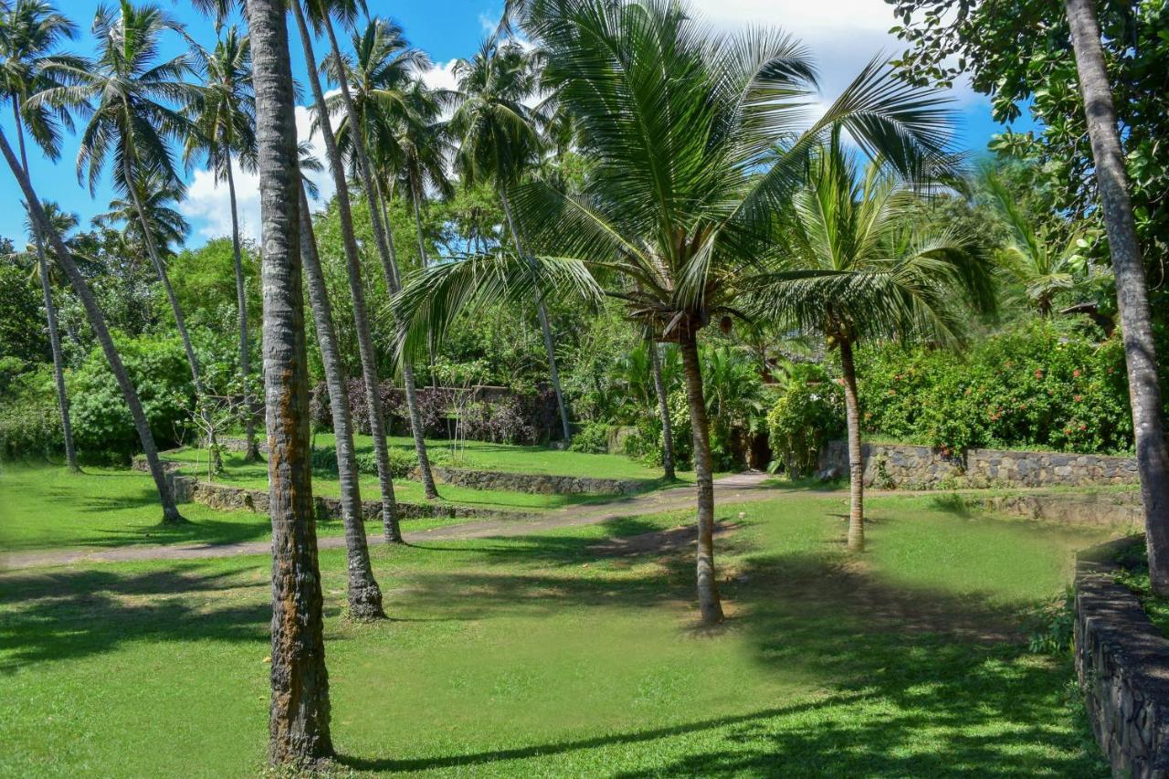Eva Lanka Hotel - Beach & Wellness Tangalle Buitenkant foto