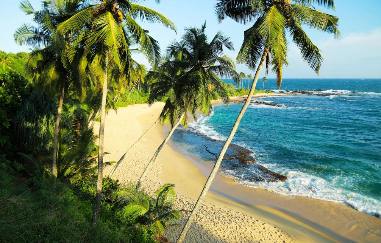 Eva Lanka Hotel - Beach & Wellness Tangalle Buitenkant foto